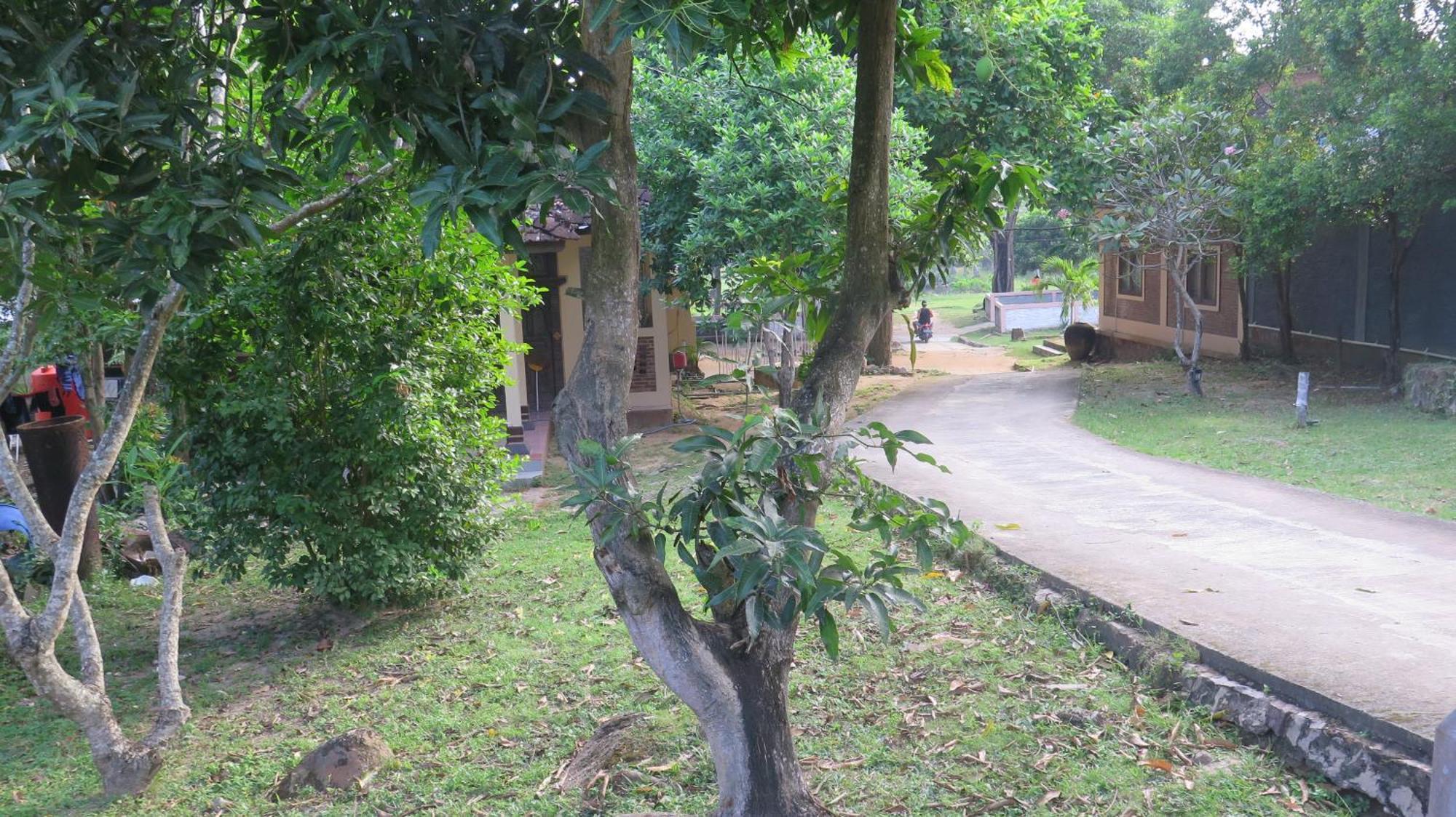 Mangrove Inn Karimunjawa Exterior foto