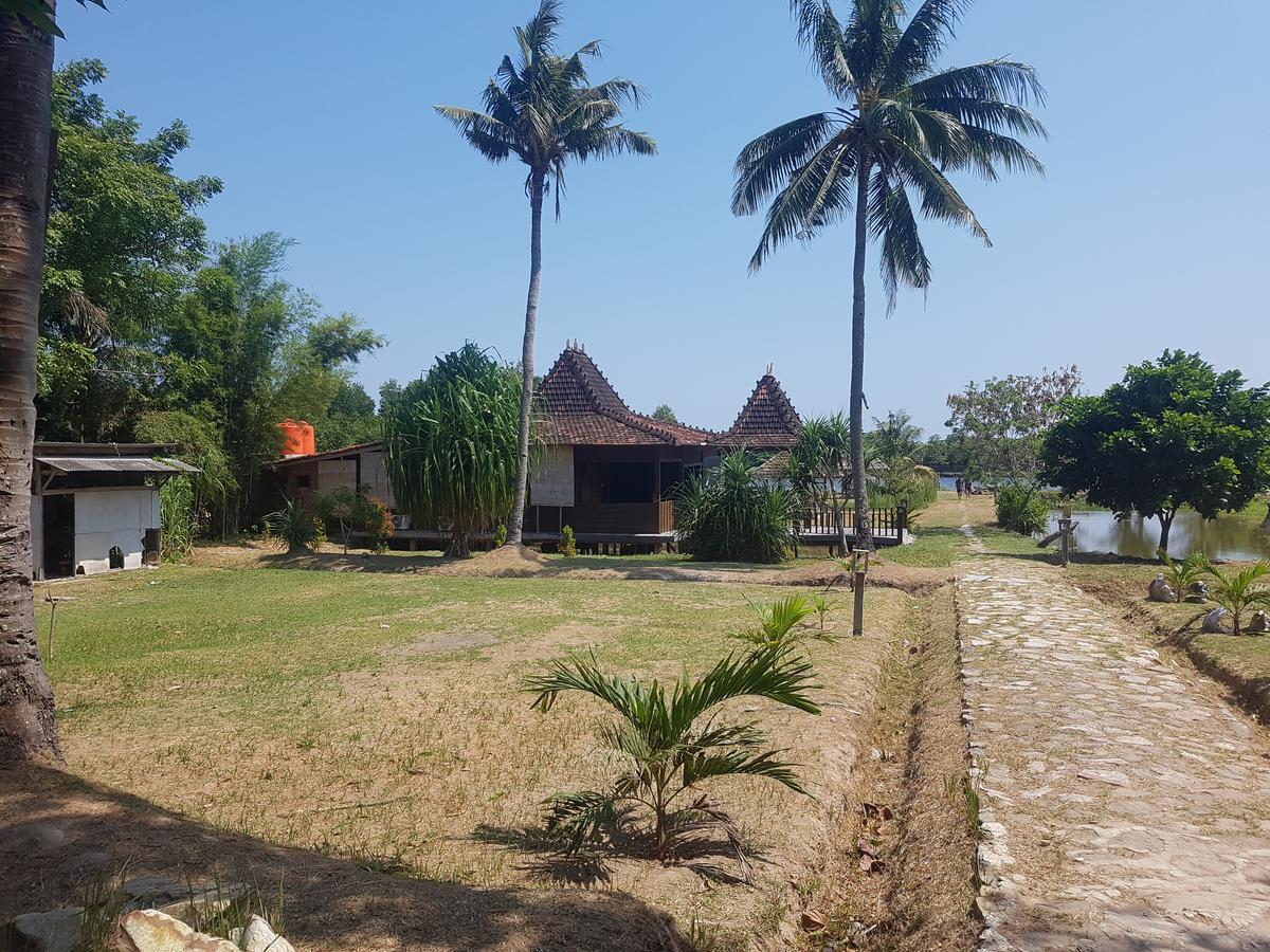 Mangrove Inn Karimunjawa Exterior foto