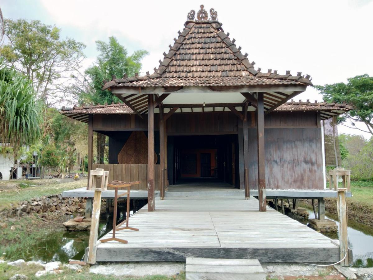 Mangrove Inn Karimunjawa Exterior foto